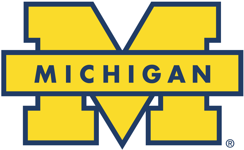 Michigan Wolverines 1996-Pres Secondary Logo diy DTF decal sticker